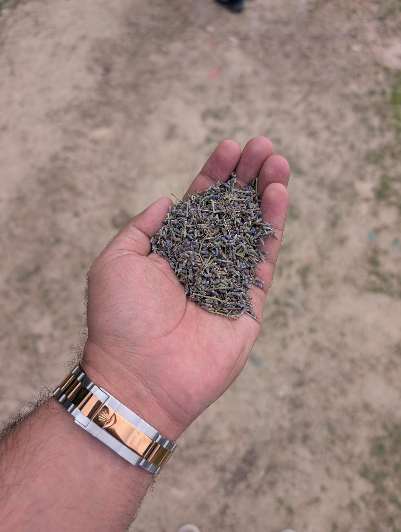 Hand-harvested buds, still fragrant